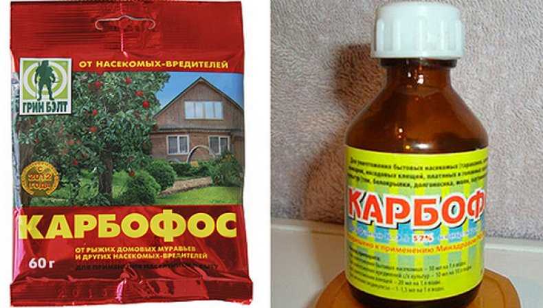 Карбофос - эффективное средство борьбы с насекомыми