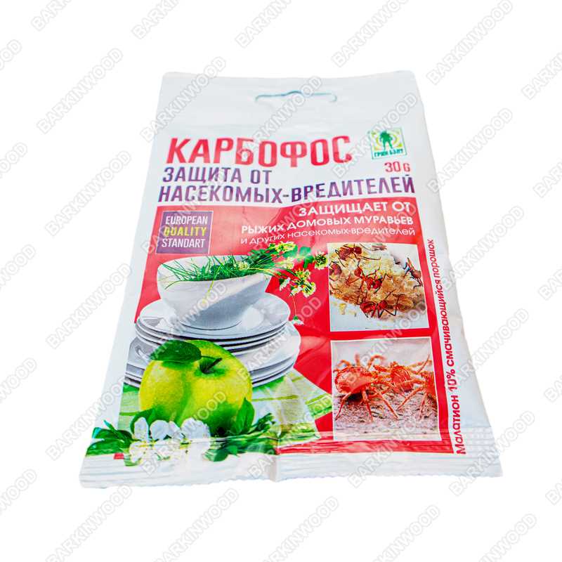 Тараканы