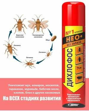 Антинасекомые свойства дихлофоса
