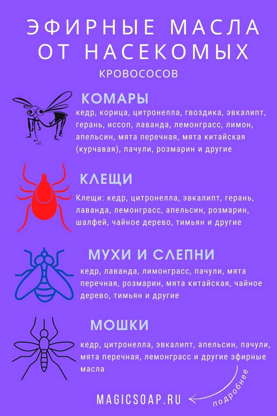 Как использовать эвкалипт для защиты от комаров?