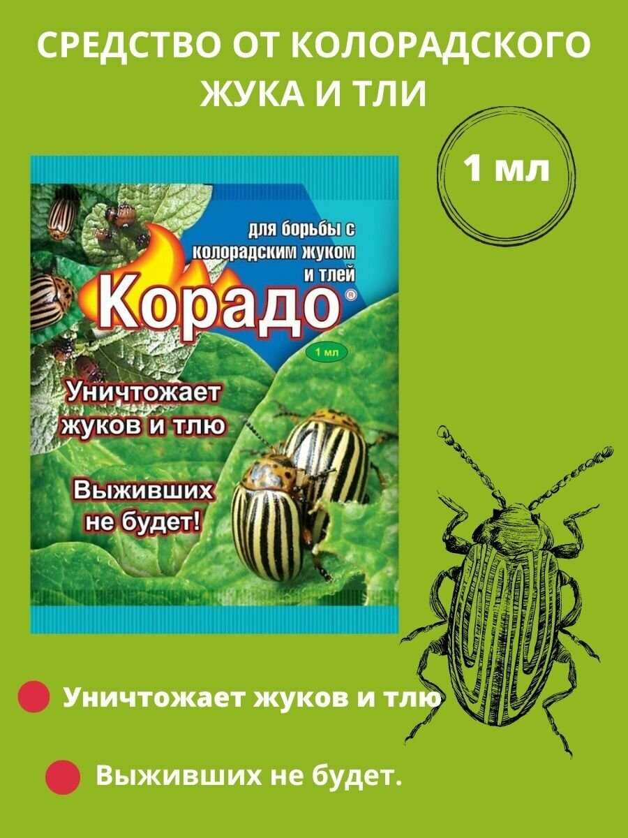 Почему Корадо не действует на колорадского жука?