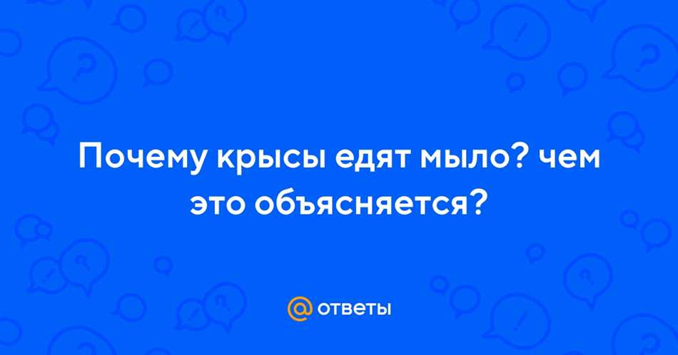 Адаптация крыс к условиям городской среды