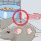 Почему крысы умирают с открытыми глазами: причины и объяснения
