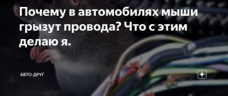 Почему мыши грызут провода: причины и способы предотвращения