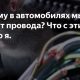 Почему мыши грызут провода: причины и способы предотвращения