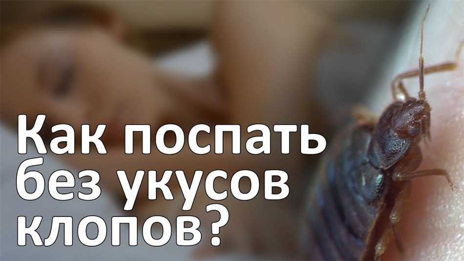 Неправильные меры профилактики: почему после обработки клопы остались?