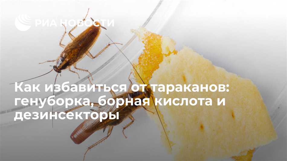 Почему тараканы боятся борной кислоты?