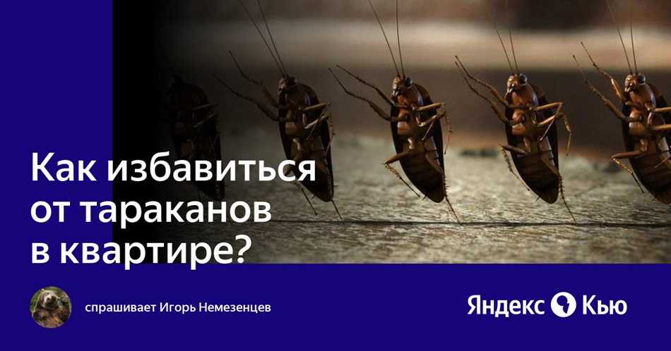 Почему тараканы боятся гвоздику?