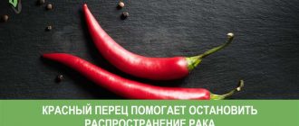 Как красный перец помогает избавиться от мышей: факты и советы