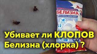 Каким образом хлорка может помочь избавиться от клопов?