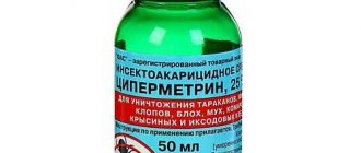 Эффективность средства циперметрин от клопов: насколько оно помогает?