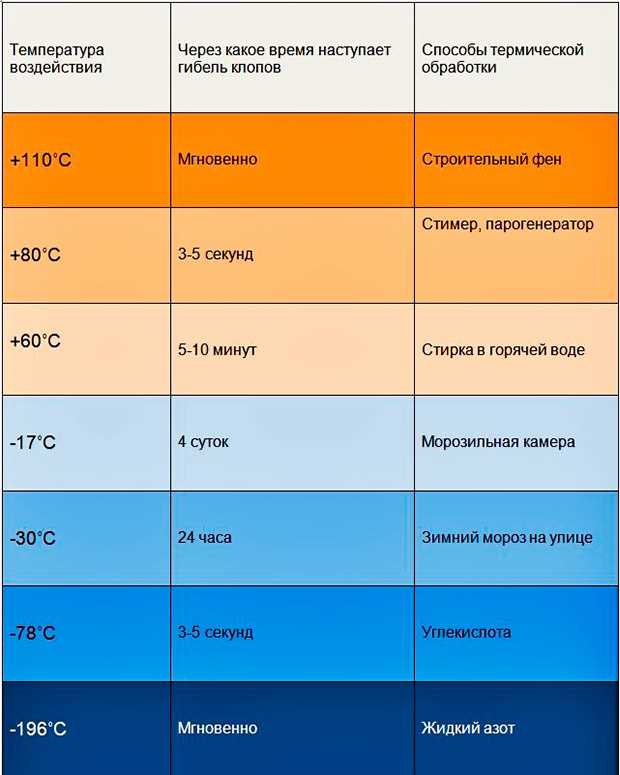 Глава 4: Что происходит с клопами при стирке в горячей воде?