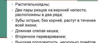 Признаки грызунов: как определить наличие грызунов в доме