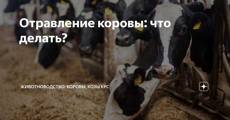 Отеки и высыпания на коже