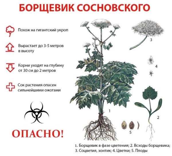 Открытие и исследование