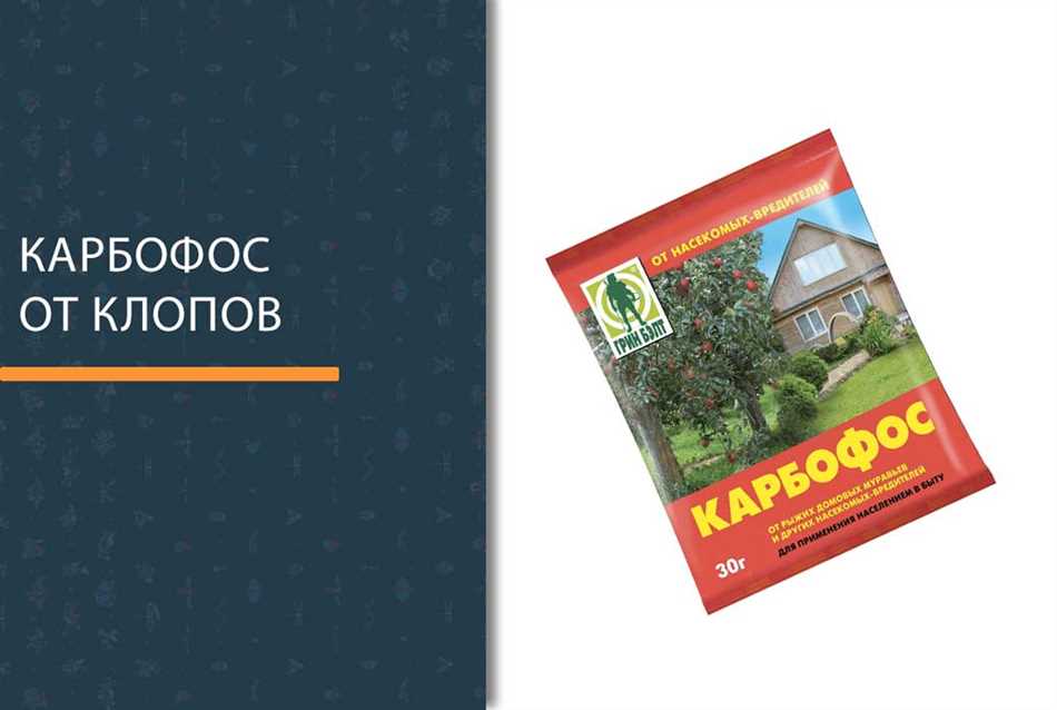 Сколько действует карбофос после обработки от клопов?