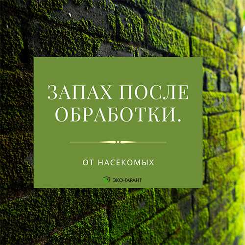 Рекомендации по поддержанию эффективности обработки от тараканов