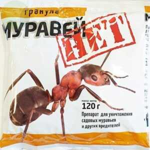Какое количество мл муравьеда использовать для уничтожения муравьев?
