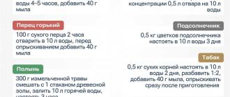 Количество яда для борьбы с колорадским жуком: сколько добавить на 10 литров воды