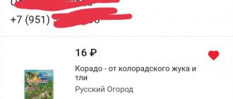 Сколько раз нужно использовать отраву Корадо против колорадского жука?