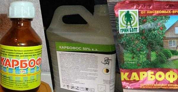 Обычная вода из-под крана