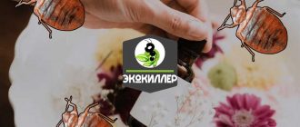 Вредность дуста от клопов для здоровья человека в квартире: мифы и реальность