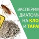 Вреден ли запах дуста для человека?